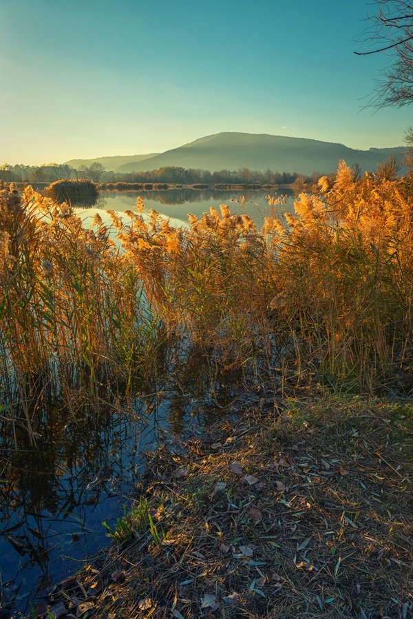 What's the Potential of Peatland Restoration for Carbon Capture in the UK?